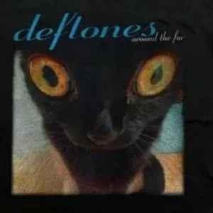 Meet your Posher, Gwenavyre